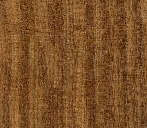Afrormosia (African Teak) Lacquered Engineered Hardwood Flooring - Image 3