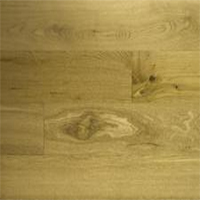 Top View of Oak Wood