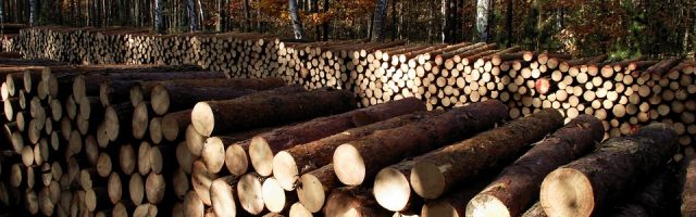 Environmental Benefits of Wood
